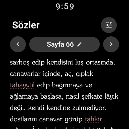 Risale-i Nur